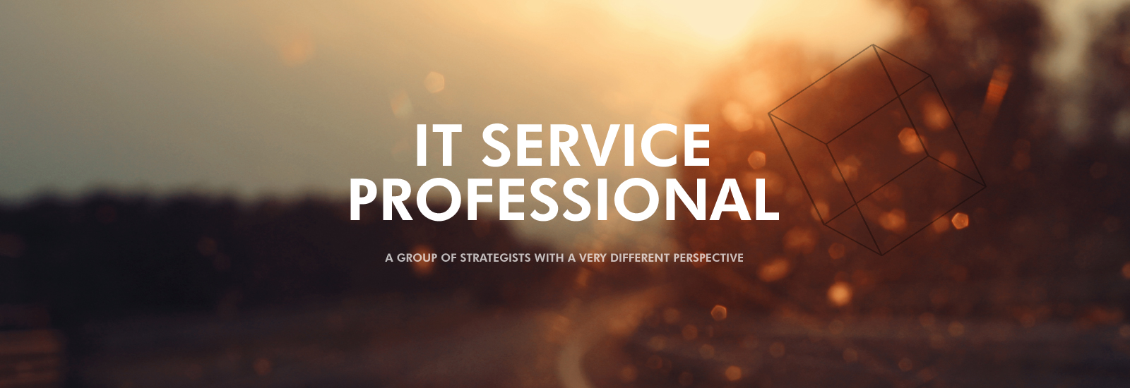 IT service professional a group of strategists with a very different perspective